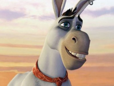 Dessins Animés : Les Folles Aventures de Rucio (Donkey Xote)