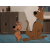 Les Aventures de Scoubidou et Scrapidou (Scooby-Doo et Scrappy-Doo)