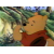 Winnie, l'Ourson (The Pooh)